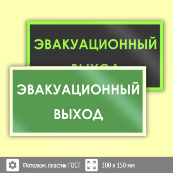 Знак B43 «Эвакуационный выход» (фотолюминесцентный пластик ГОСТ 34428-2018, 300х150 мм)